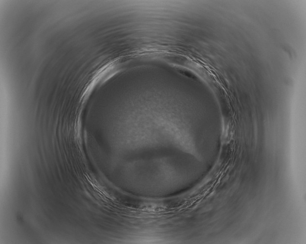 X0000115610099200911101435