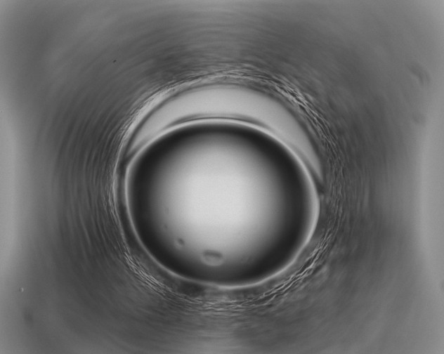 X0000115610100200911101435