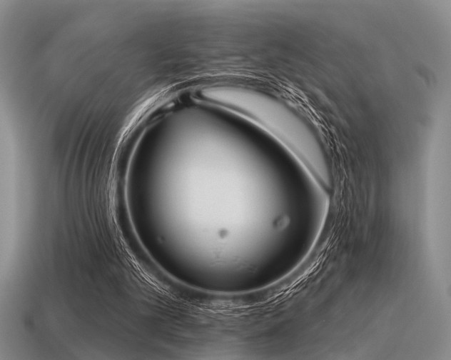 X0000115610101200911101435