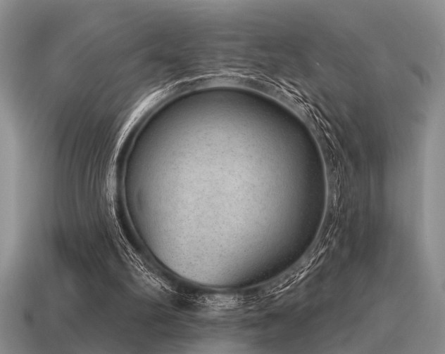 X0000115610102200911101435