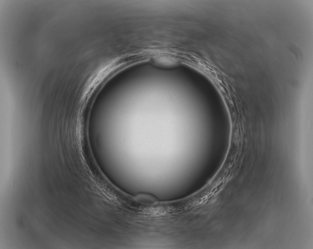 X0000115610103200911101435