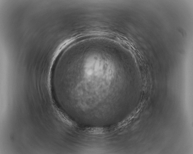 X0000115610104200911101435