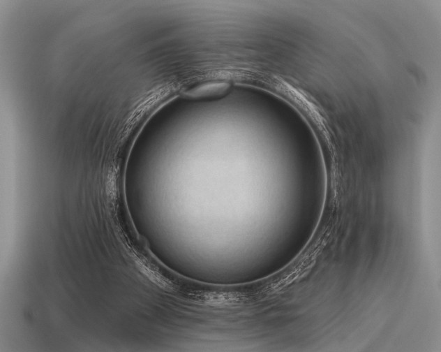 X0000115610105200911101435