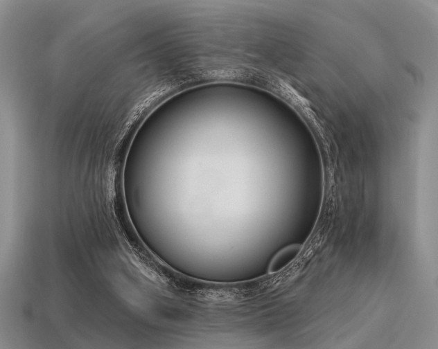X0000115610106200911101435