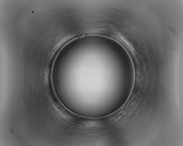 X0000115610107200911101435