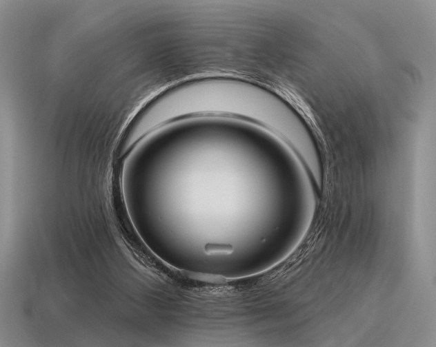 X0000115610108200911101435