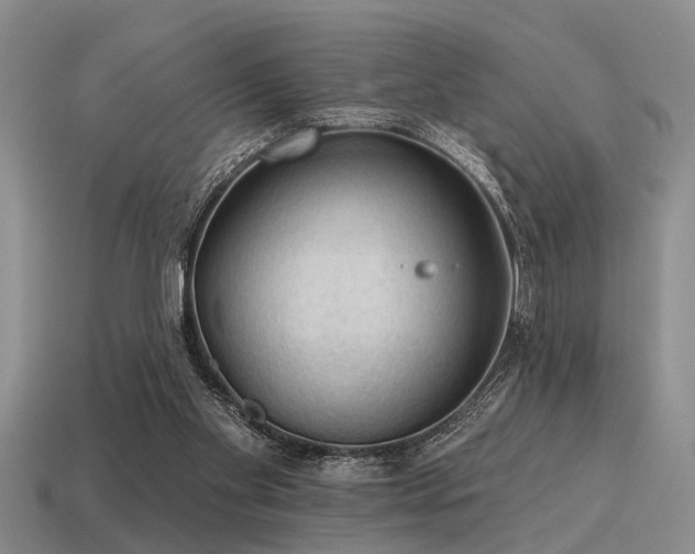X0000115610109200911101435