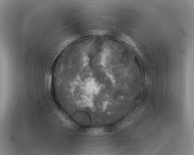 X0000115610110200911101435