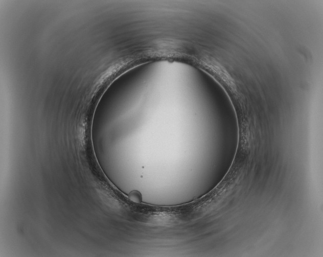 X0000115610111200911101435