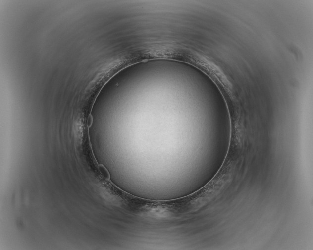 X0000115610113200911101435