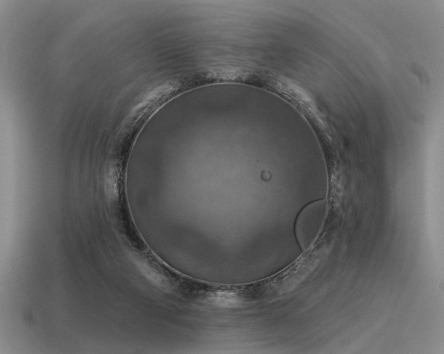 X0000115610114200911101435