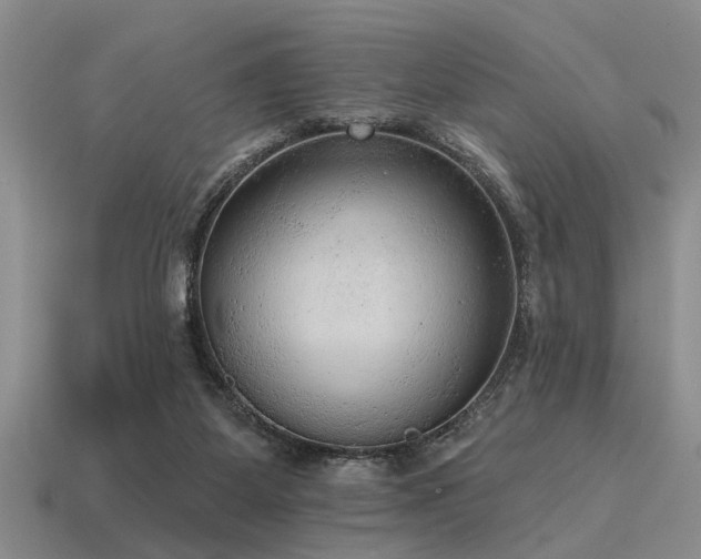 X0000115610115200911101435