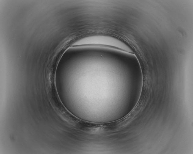 X0000115610116200911101435
