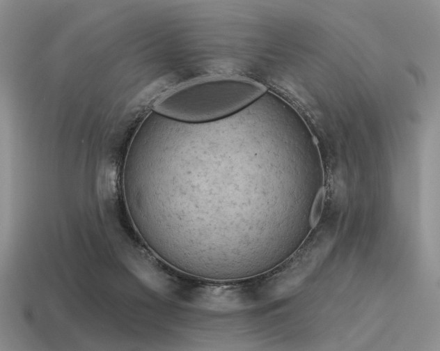X0000115610117200911101435