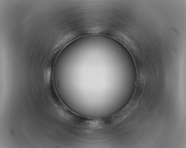 X0000115610118200911101435