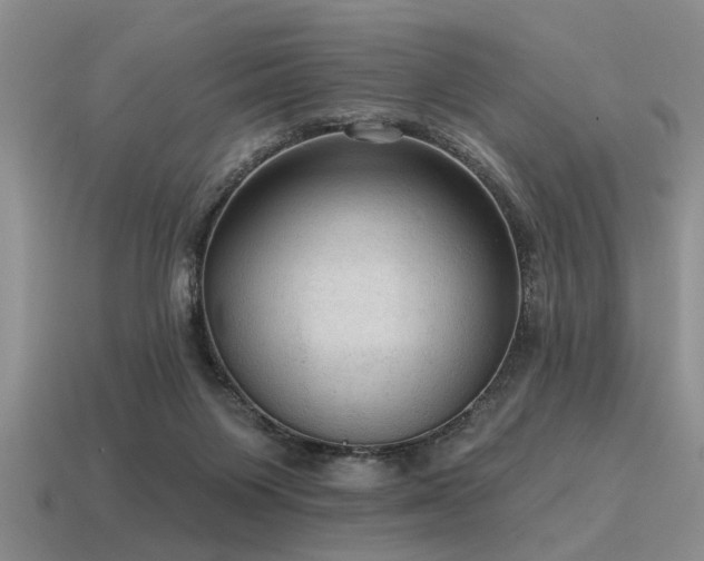 X0000115610119200911101435