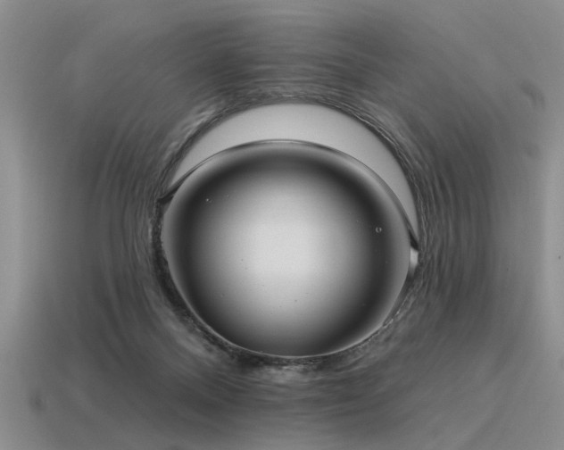 X0000115610120200911101435