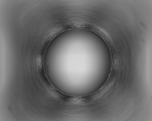 X0000115610121200911101435