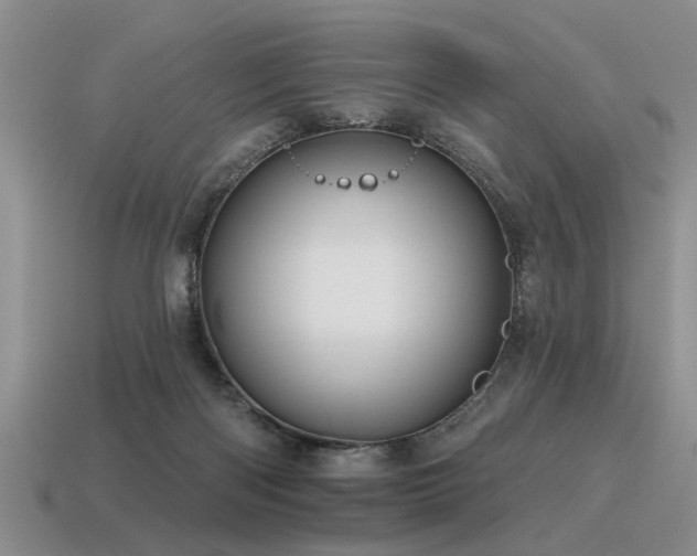 X0000115610122200911101435