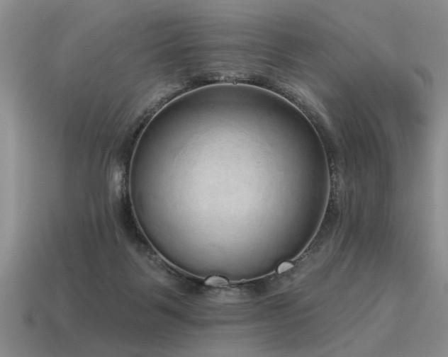 X0000115610123200911101435