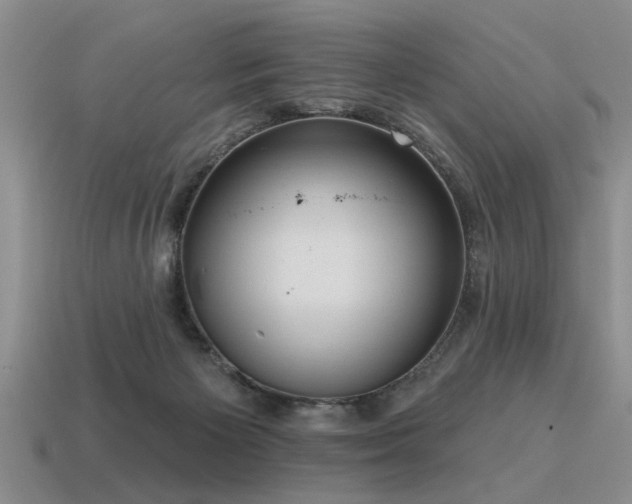 X0000115610125200911101435