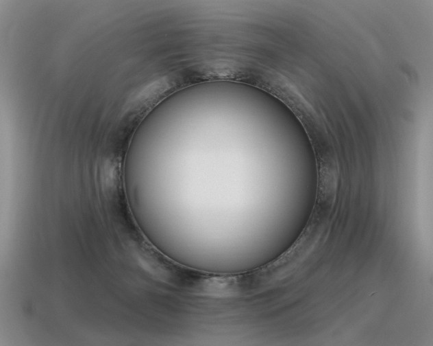 X0000115610126200911101435