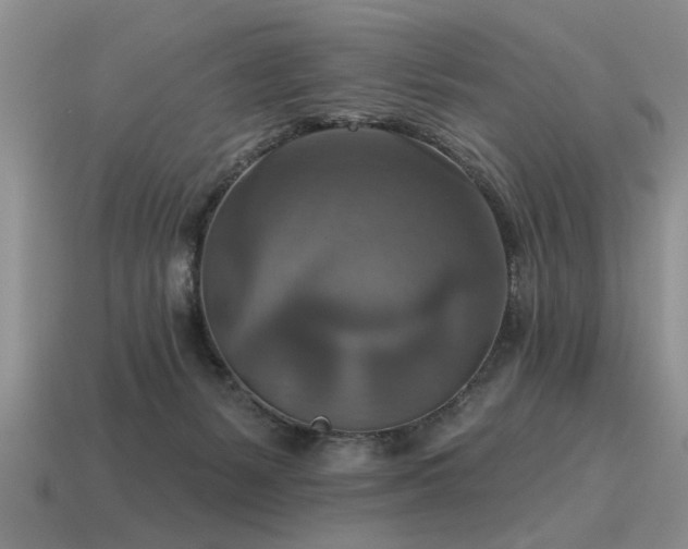 X0000115610127200911101435