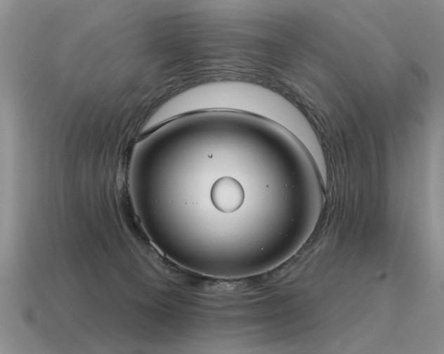 X0000115610129200911101435