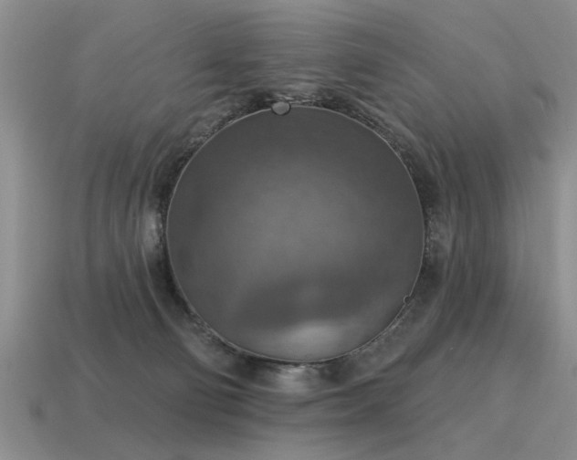 X0000115610130200911101435