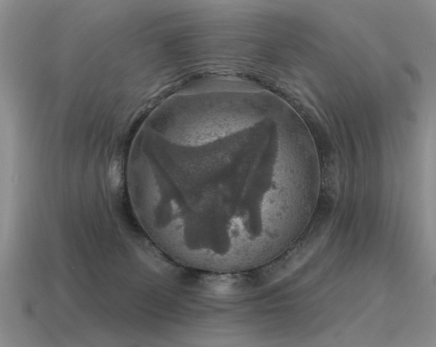 X0000115610131200911101435