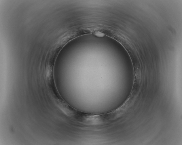 X0000115610132200911101435