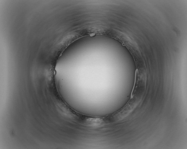 X0000115610133200911101435