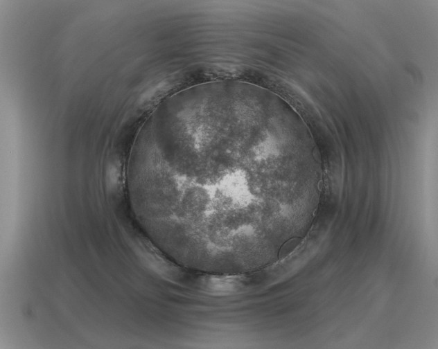 X0000115610134200911101435