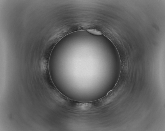 X0000115610135200911101435