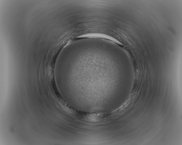 X0000115610136200911101435