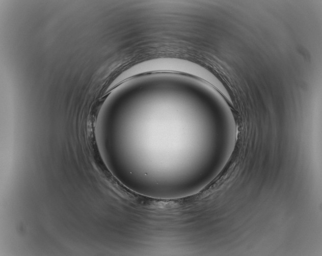 X0000115610137200911101435