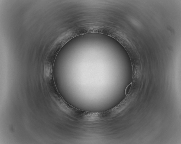 X0000115610138200911101435