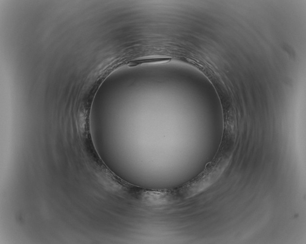 X0000115610139200911101435