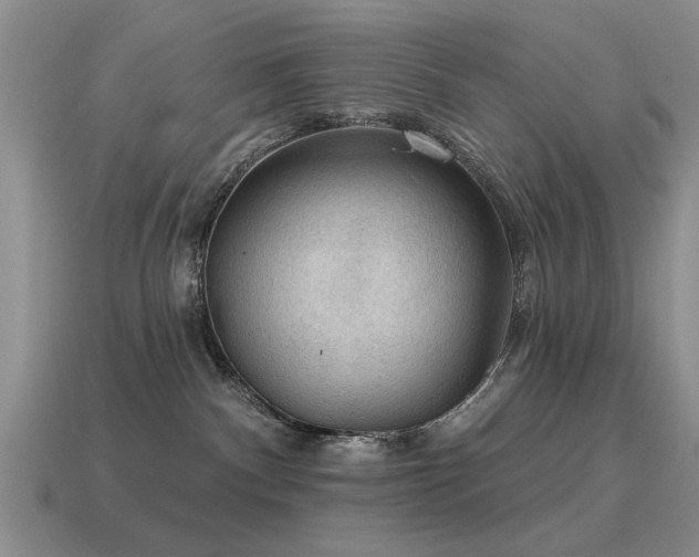 X0000115610140200911101435