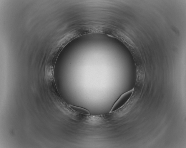 X0000115610141200911101435