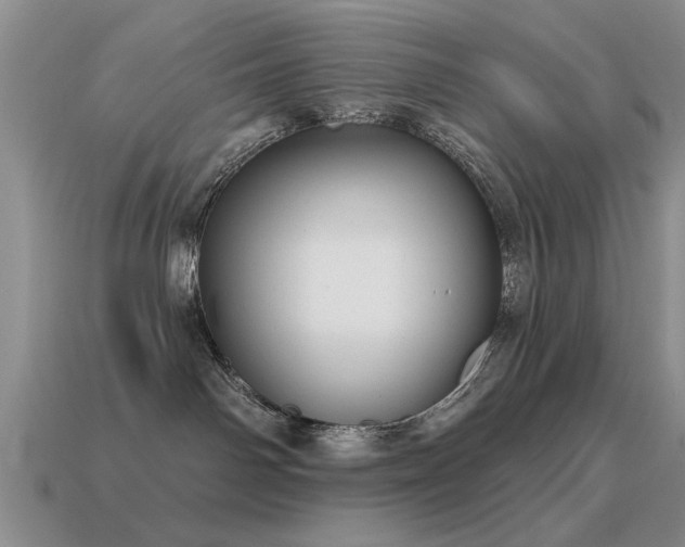X0000115610142200911101435