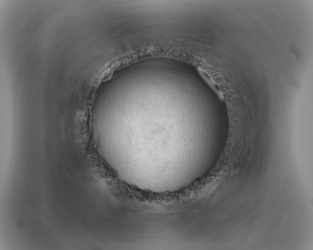 X0000115610144200911101435