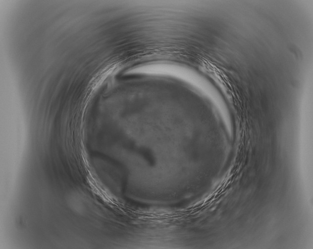X0000115610145200911101434