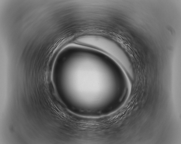 X0000115610146200911101434