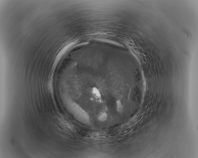 X0000115610147200911101434