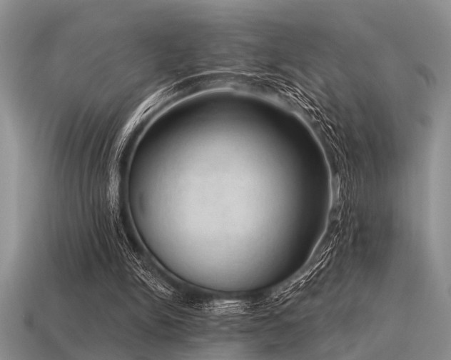 X0000115610150200911101434
