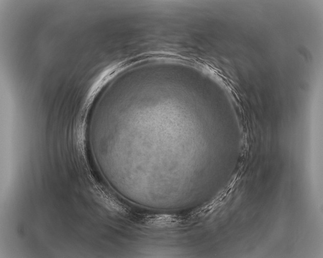 X0000115610151200911101434