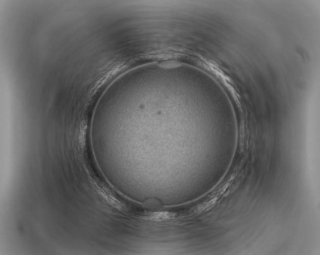 X0000115610153200911101434
