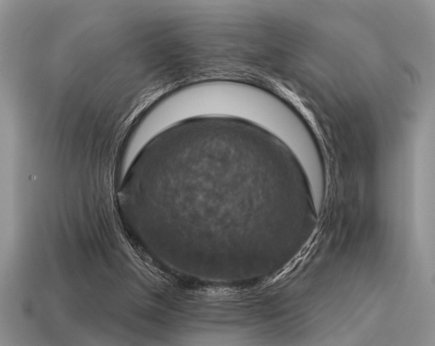 X0000115610154200911101434