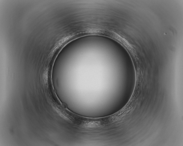 X0000115610155200911101434